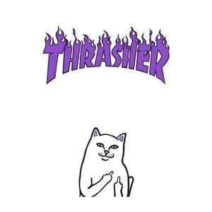 Meet your Posher, Luis